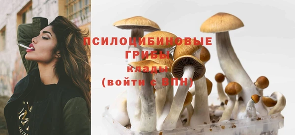 амф Аркадак