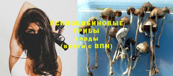 молекула духа Армянск