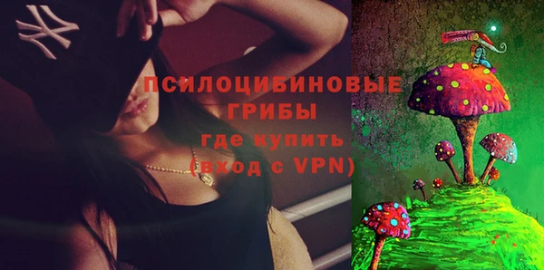 молекула духа Армянск