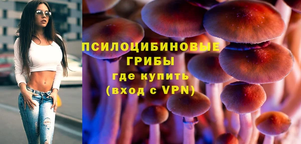 амф Аркадак